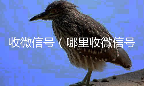 收微信号在线24小时回收vx（哪里收微信号）